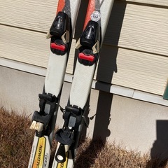 ジャンク　サロモン  ST3000 jrの画像