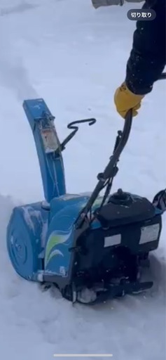 YAMAHA ゆっきぃ❗️
