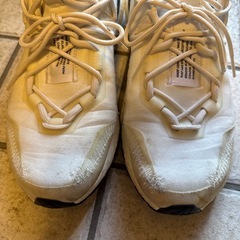 28.5㎝アディダスパーレイ×ウルトラブースト21 の画像