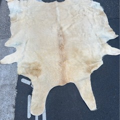 ヤングカーフ　ラグ　カーペット　カウラグ　クリーム色　特大　bormesiの画像