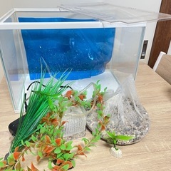 埼玉県のガラス水槽の中古が安い！激安で譲ります・無料であげます