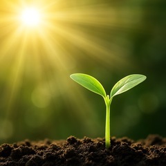 ちょっと自分を見つめ直す時間