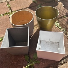 植木鉢　プラケースの画像
