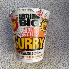 カップヌードルBIG② の画像