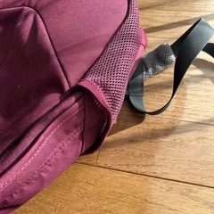 リュック差し上げますの画像