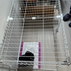 犬用ケージの画像