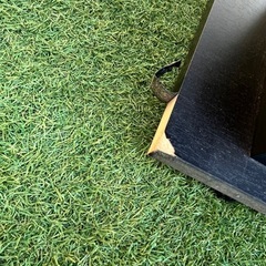 スピーカー付きテレビ大丈夫の画像