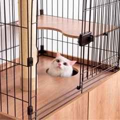 【直接のお取引のみ】猫ゲージの画像