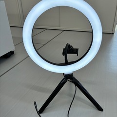 女優ライトの画像