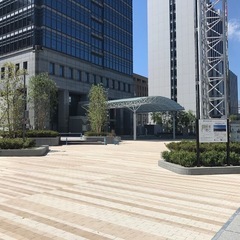 1/21(木) 有田みかん【訳あり】(大玉)3kg 1000円の画像