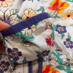 Patagoniaのダウンロンパの画像