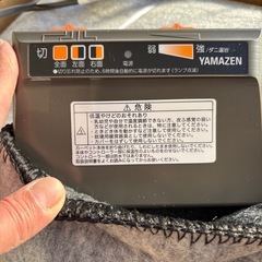 ホットカーペットの画像