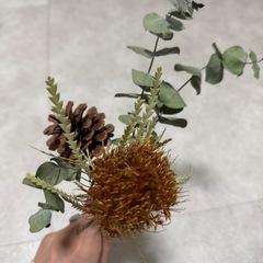 ドライフラワーの画像