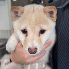 遊ぶの大好きわんぱくな男の子！