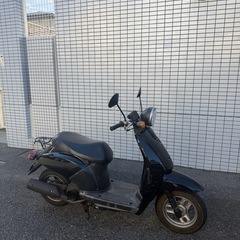 HONDA TODAY 
原付の画像