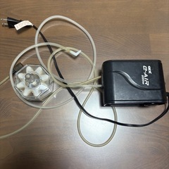 水槽　金魚　 の画像