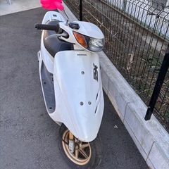 af35ライブディオzxの画像