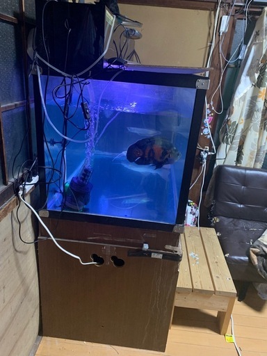 二層のガラス水槽セット120