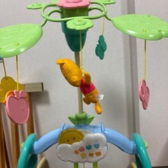 《中古品》プーメリーの画像