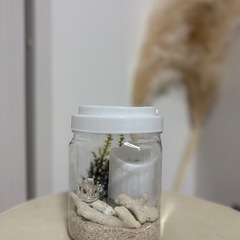 サンゴの手作りのなんか