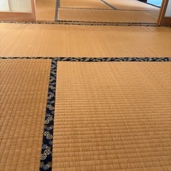 畳もらってください　の画像