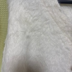 リジェイスプル　新品タグ付きニットカーディガンの画像