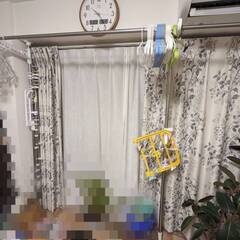 【本日2/1もしくは2/5午後13～14時取引可能な方】窓枠突っ張り物干しの画像