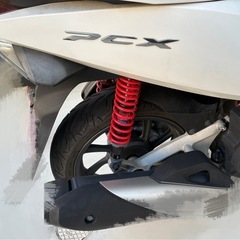 PCX JF81の画像