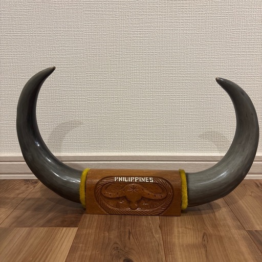 フィリピン 水牛の角 置物 本物 幅45cm バッファローホーン インテリア