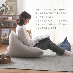 【お譲り先決定しました】ビーズクッション　　レギュラーサイズの画像