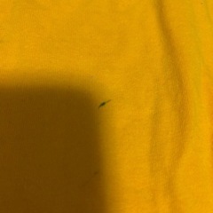 【？】夏服014の画像