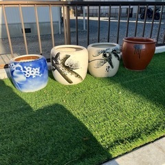 火鉢　メダカ鉢　おしゃれ鉢の画像