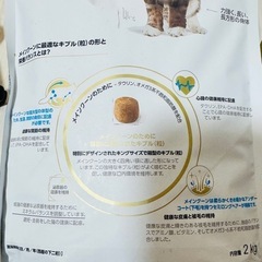 メインクーン用キャットフードの画像