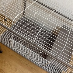 ケージの画像