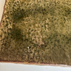 【信楽焼】和食器 14点セット まとめ売り（長皿・小鉢・豆皿）の画像