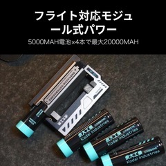 モバイルバッテリー⭐️虎大工業 国内唯一正規取扱店 電池交換デザイン 乾電池式の画像
