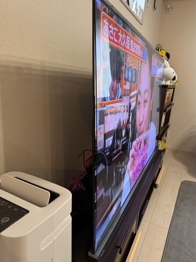 東芝 65V型 REGZA 有機ELテレビ レグザ