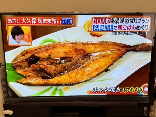 東芝 65V型 REGZA 有機ELテレビ レグザ