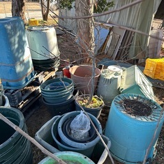 植木鉢  大きいサイズ 観葉植物 果樹等にの画像