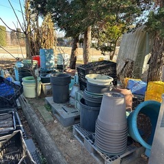 植木鉢  大きいサイズ 観葉植物 果樹等にの画像