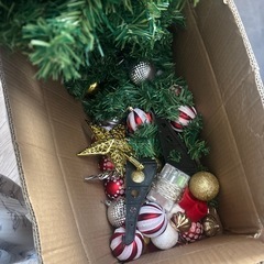 クリスマスツリーの画像