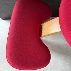 バランスイージーの画像