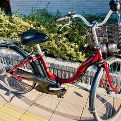 Yamaha Pas(Natura)の画像