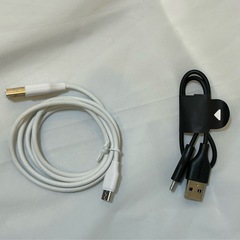 ケーブルいろいろ（タイプC、D端子、VGAなど）の画像