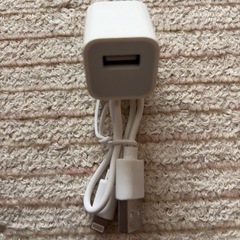 アップル Apple iPhone14 空箱　イヤホン　アップルステッカーの画像