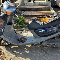 ポシェ不動の画像