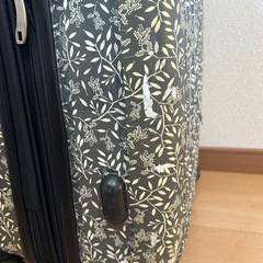 キャリーケース　キャリーバッグ　物置きの画像