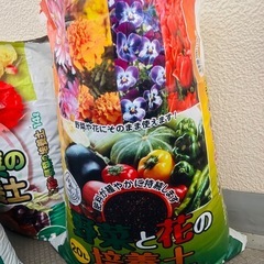 培養土 土 野菜 花の画像