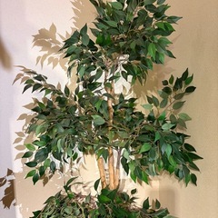 IKEA FEJKA フェイクグリーン 人工観葉植物の画像