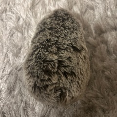 ハリネズミ ぬいぐるみ かわいいの画像